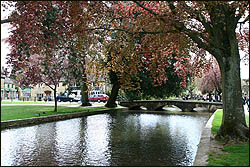Cotswolds