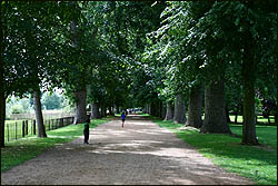 Christ Church Meadow, Oxford