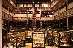 Pitt Rivers Museum, Oxford