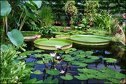 Botanic Garden, Oxford